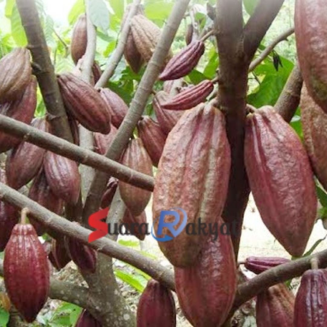 2_20251023_230902_0001